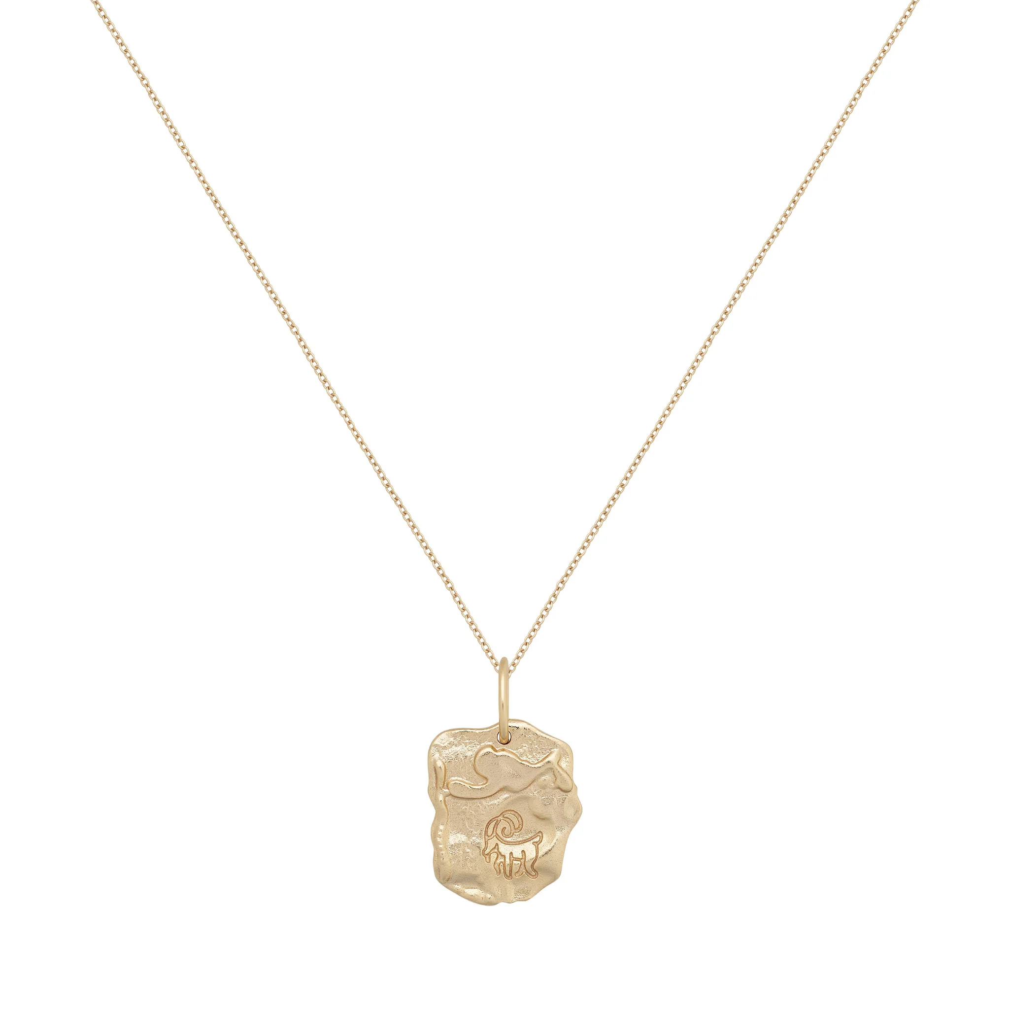 Capricorn Astrology Necklace