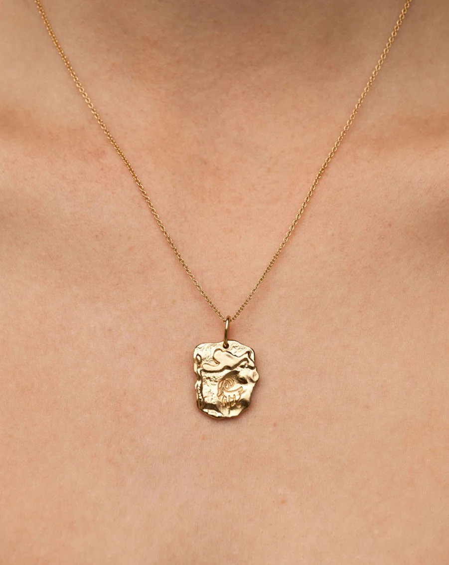 Capricorn Astrology Necklace - Image 2