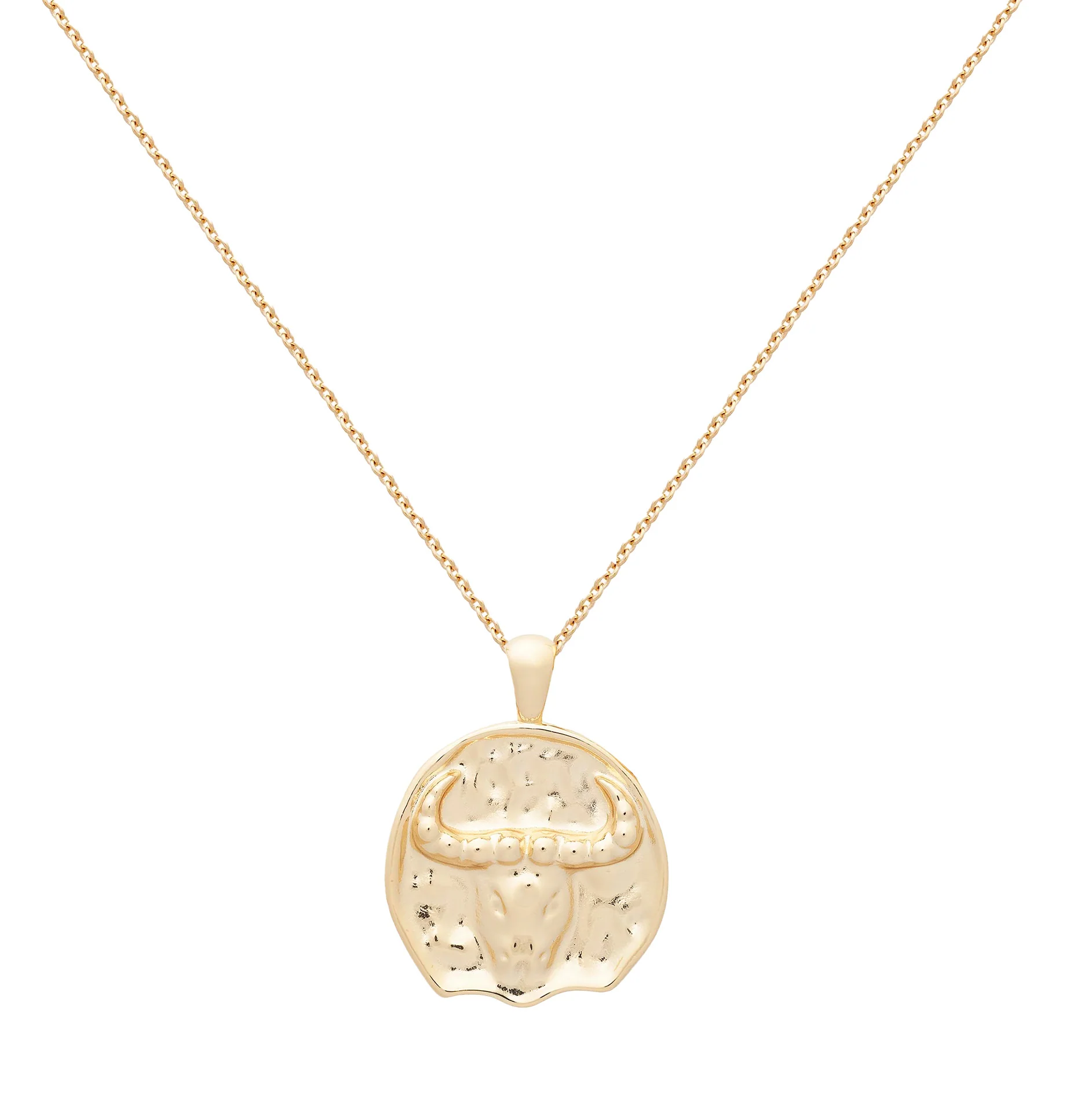 Taurus II Necklace